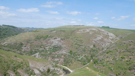 view
